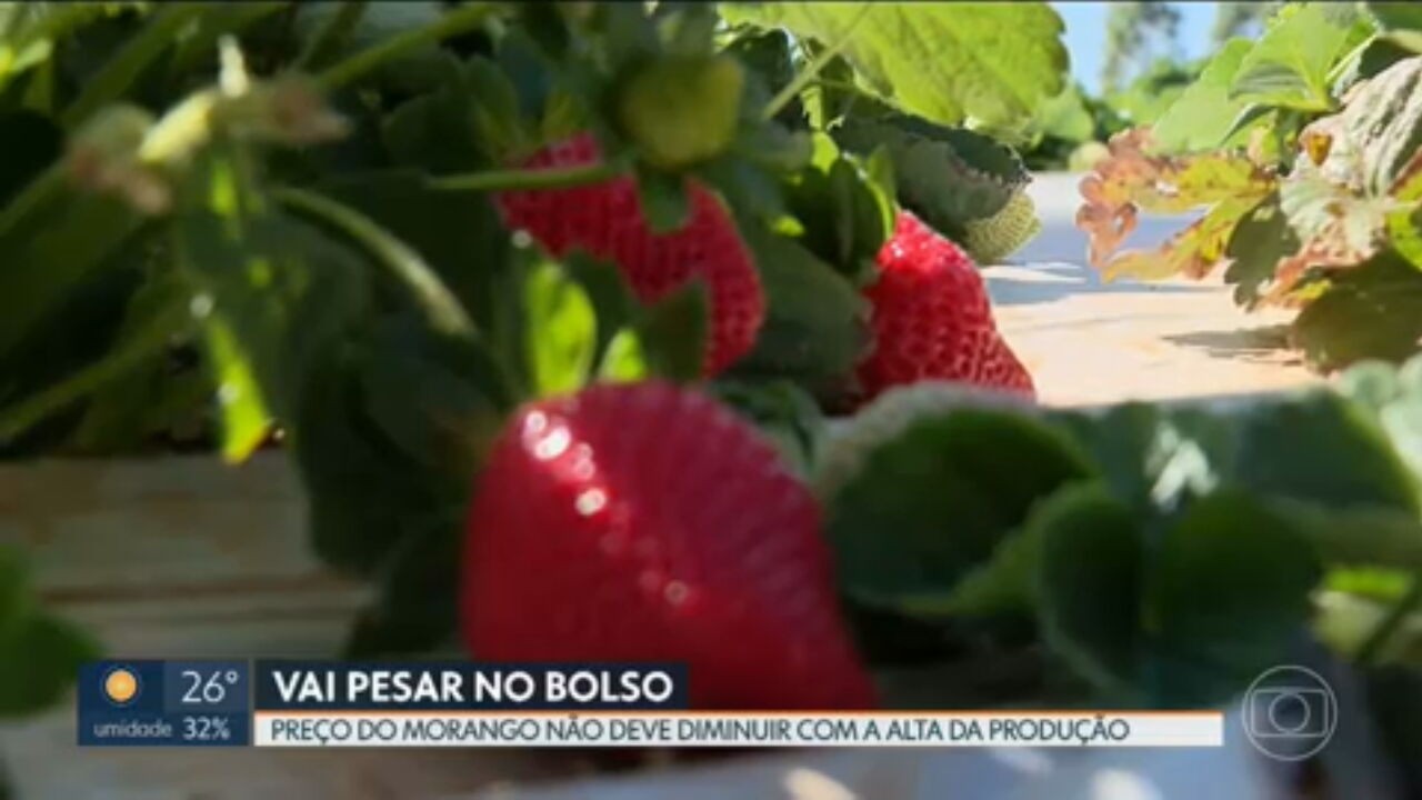 foto Notícia Ceilândia