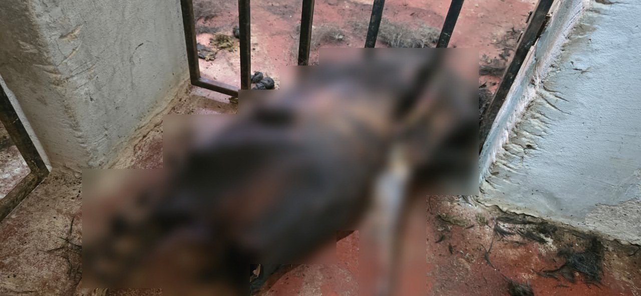 foto Notícia Ceilândia