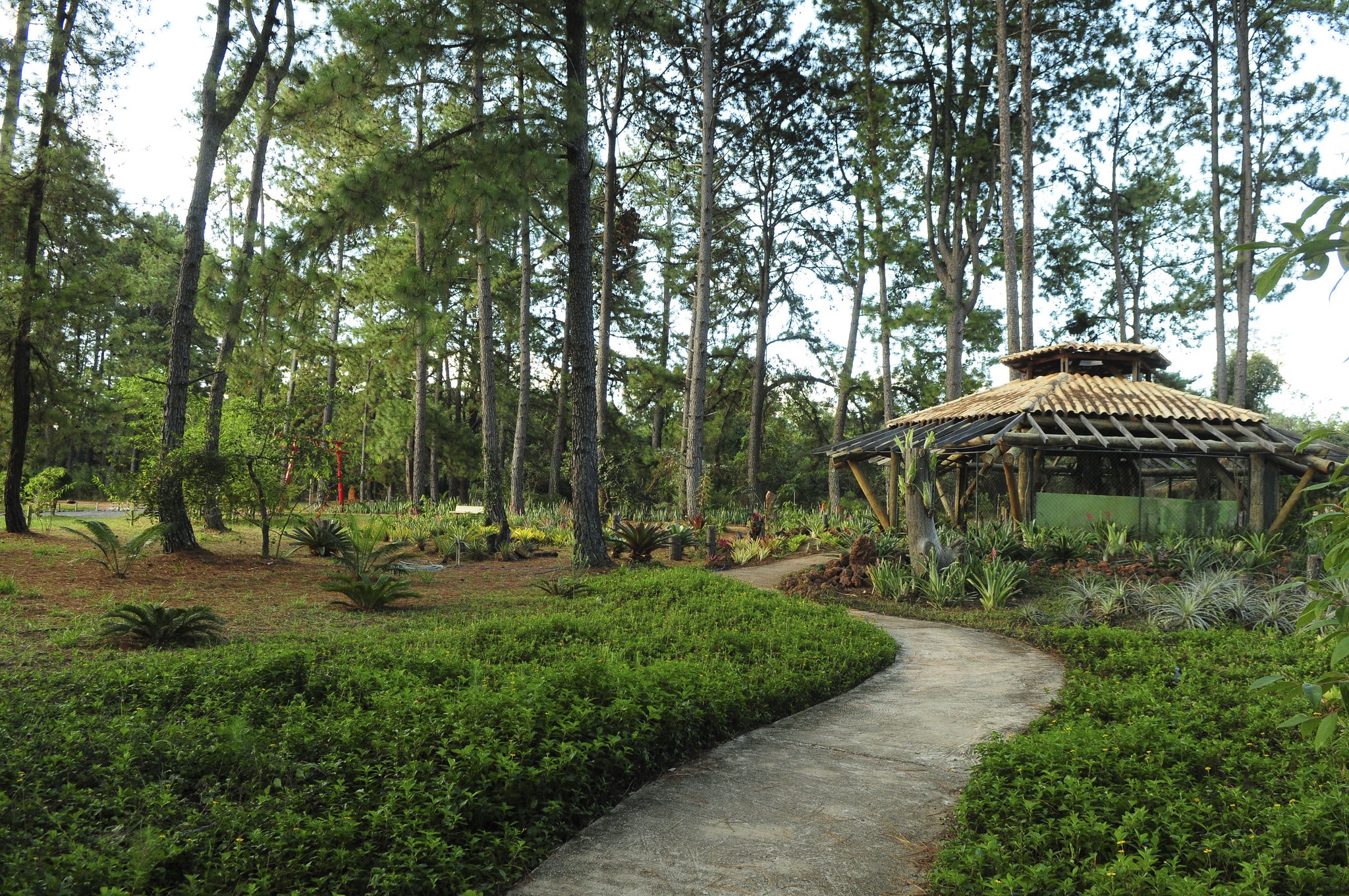 foto Notícia Ceilândia