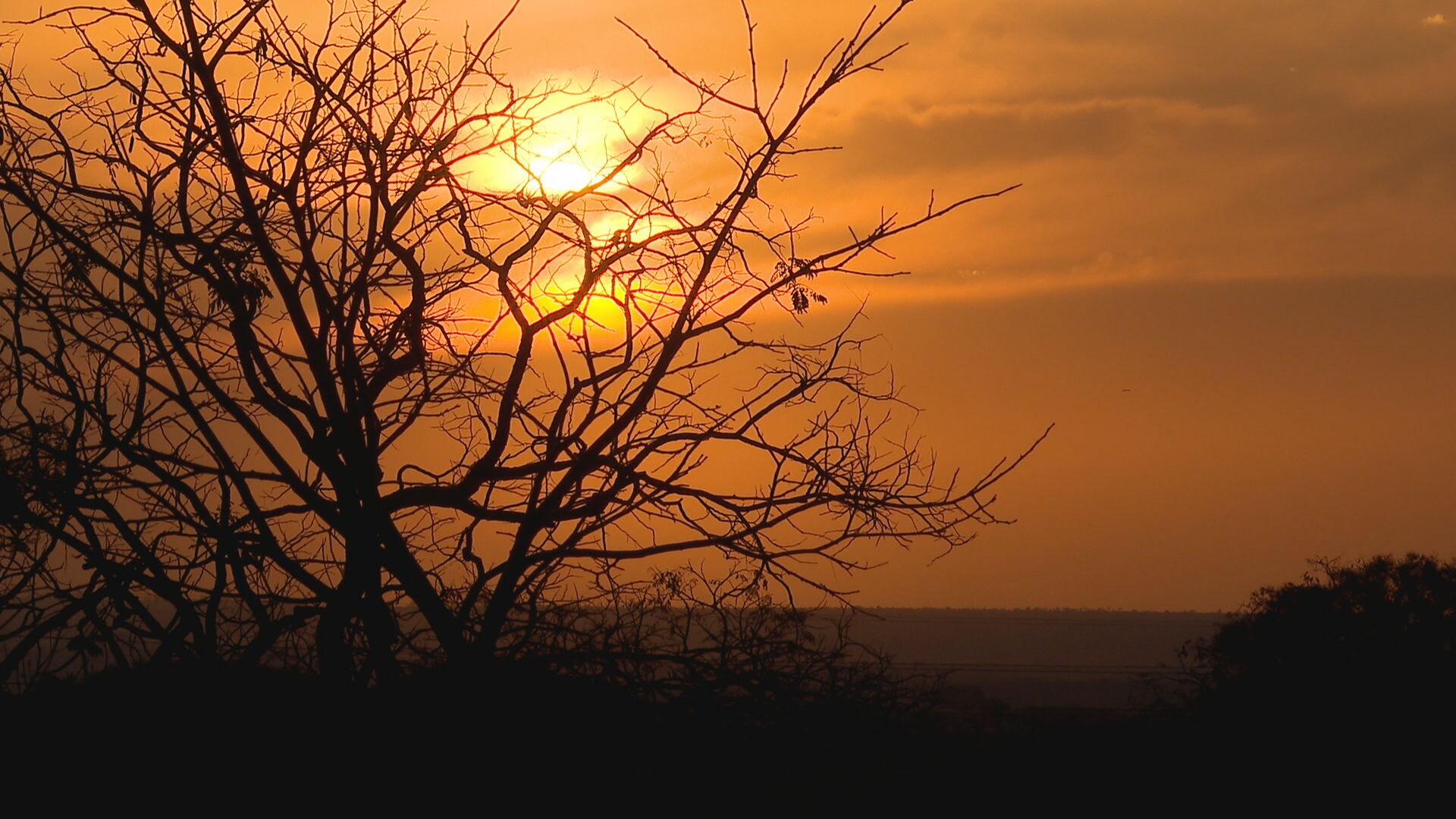 foto Notícia Ceilândia