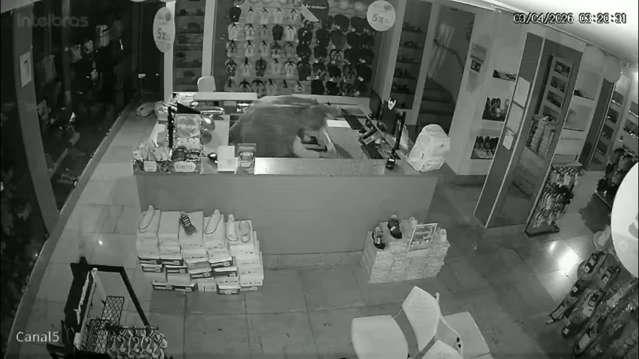 foto Not&iacute;cia Ceilândia