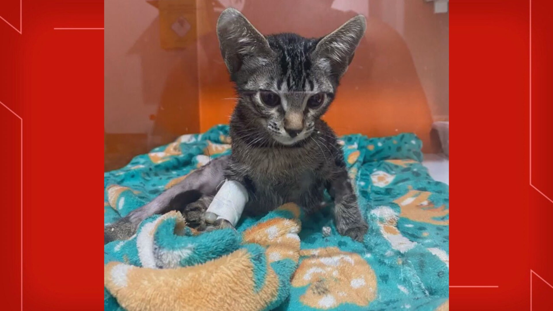 foto Not&iacute;cia Ceilândia